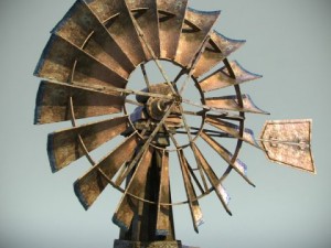 scary old house 3D Model