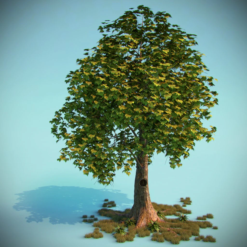 tree 3D Model .c4d .max .obj .3ds .fbx .stl .blend