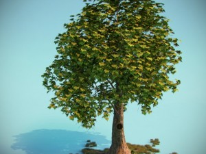 tree 3Dモデル