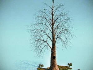 tree 3D Model