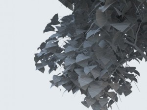 tree 3D Model