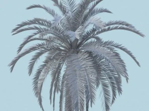 bangal&ocirc; Modelo 3D