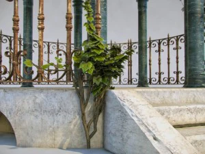 alcove 3D Model