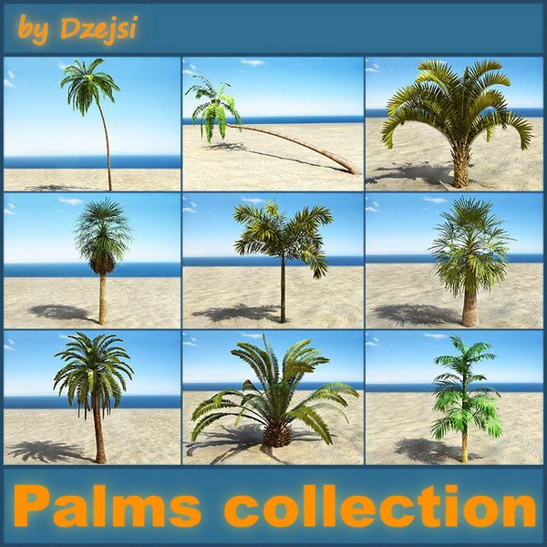 palms collection 3D Model .c4d .max .obj .3ds .fbx .stl .blend 