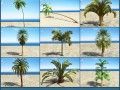 palms collection 3D Модель