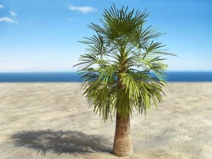 palms collection 3D Model