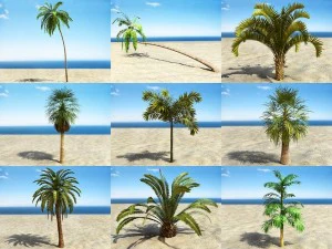 palms collection 3D Model