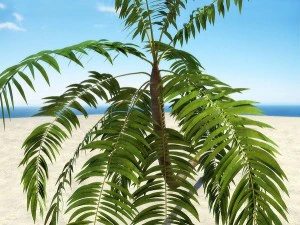 palms collection 3D Model