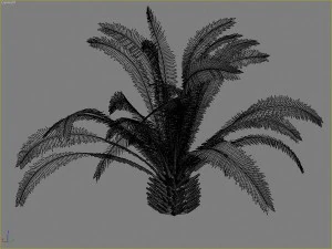 palms collection 3D Model