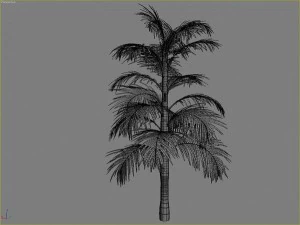 palms collection 3D Model