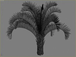 palms collection 3D Model