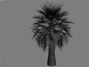 palms collection 3D Model