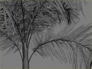 palms collection Model 3D