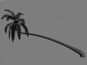 palms collection Model 3D