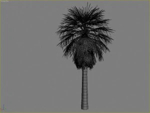 palms collection 3D Model