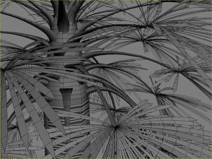 palms collection Model 3D
