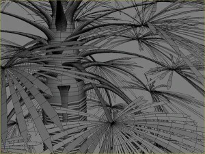 palms collection 3D Model