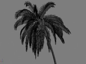 palms collection 3D Model