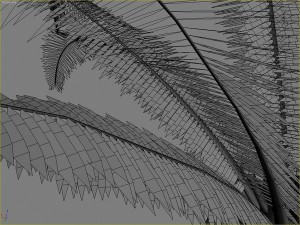 palms collection Model 3D