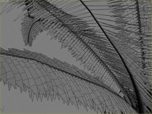 palms collection 3D Model