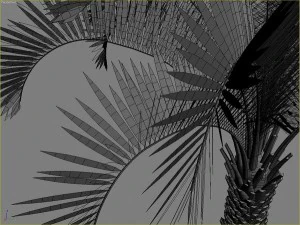 palms collection 3D Model