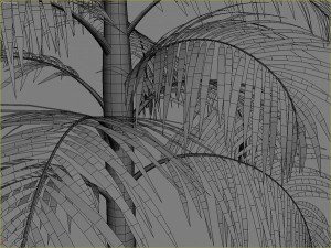 palms collection Model 3D