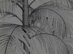 palms collection 3D Model