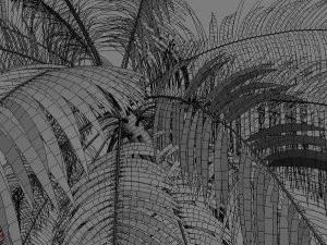 palms collection 3D Model