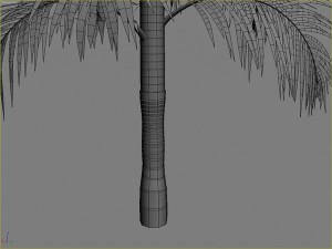 palms collection Model 3D