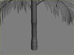 palms collection 3D Model