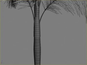 palms collection 3D Model