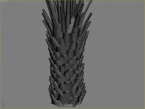 palms collection 3D Model