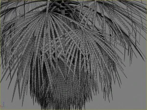 palms collection 3D Model
