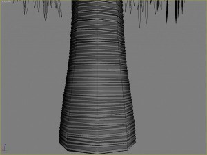 palms collection Model 3D