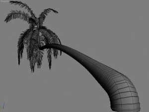 palms collection 3D Model