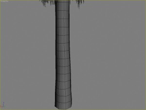 palms collection Model 3D