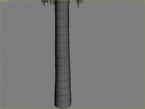 palms collection 3D Model