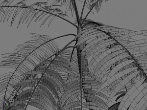 palms collection Model 3D