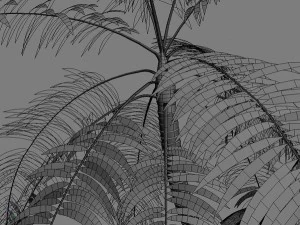 palms collection 3D Model