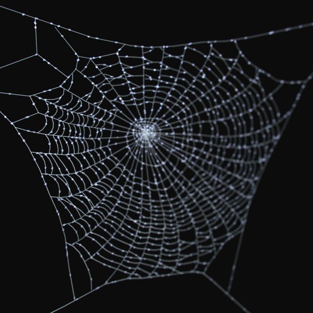 spider web 3D 模型 .c4d .max .obj .3ds .fbx .stl .blend 