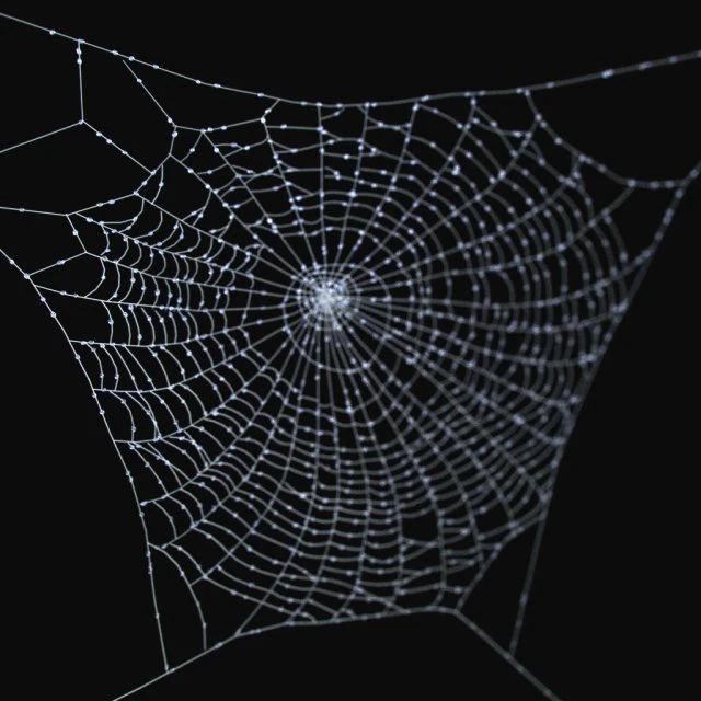 &ouml;r&uuml;mcek ağı 3D Model .c4d .max .obj .3ds .fbx .stl .blend 