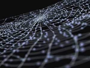 spider web 3D 模型