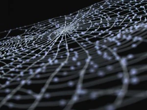 &ouml;r&uuml;mcek ağı 3D Model