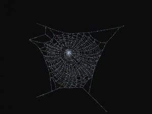 &ouml;r&uuml;mcek ağı 3D Model