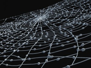 spider web 3D 模型