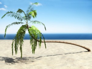 palm 1 3D Model