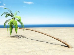 palm 1 3D Model