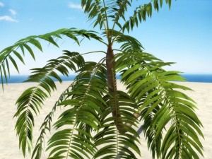 palm 1 3D Model