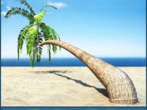 palm 1 3D Model