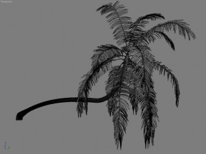 palm 1 3D Model